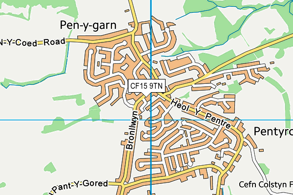 CF15 9TN map - OS VectorMap District (Ordnance Survey)