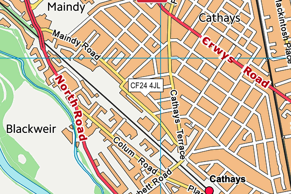 Cardiff Muslim Primary School map (CF24 4JL) - OS VectorMap District (Ordnance Survey)