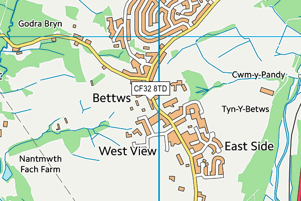 Ysgol Gynradd Gymraeg Calon Y Cymoedd map (CF32 8TD) - OS VectorMap District (Ordnance Survey)