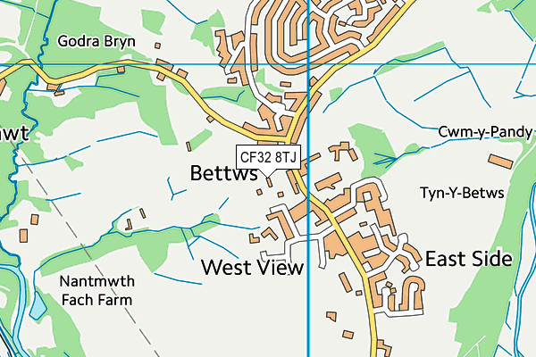 CF32 8TJ map - OS VectorMap District (Ordnance Survey)