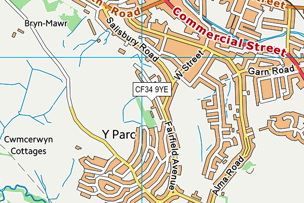 YGG Cynwyd Sant map (CF34 9YE) - OS VectorMap District (Ordnance Survey)
