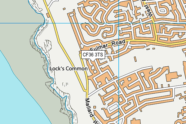 CF36 3TS map - OS VectorMap District (Ordnance Survey)