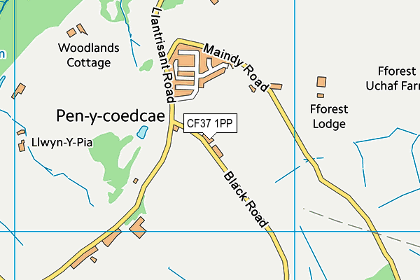 CF37 1PP map - OS VectorMap District (Ordnance Survey)