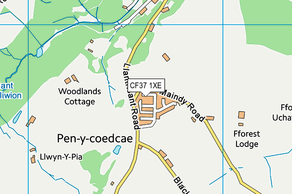 CF37 1XE map - OS VectorMap District (Ordnance Survey)