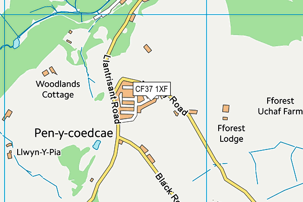 CF37 1XF map - OS VectorMap District (Ordnance Survey)