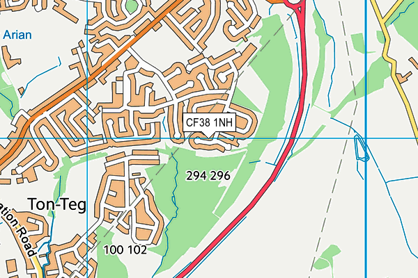 CF38 1NH map - OS VectorMap District (Ordnance Survey)
