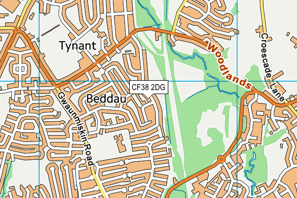 CF38 2DG map - OS VectorMap District (Ordnance Survey)