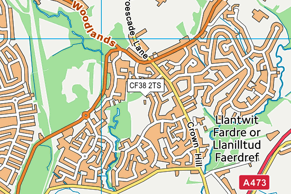 CF38 2TS map - OS VectorMap District (Ordnance Survey)