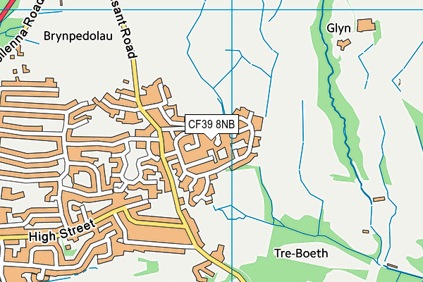 CF39 8NB map - OS VectorMap District (Ordnance Survey)