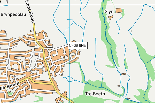 CF39 8NE map - OS VectorMap District (Ordnance Survey)