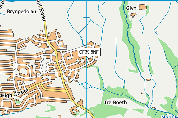 CF39 8NF map - OS VectorMap District (Ordnance Survey)