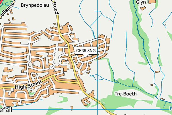 CF39 8NG map - OS VectorMap District (Ordnance Survey)