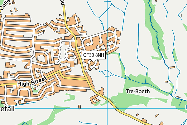 CF39 8NH map - OS VectorMap District (Ordnance Survey)