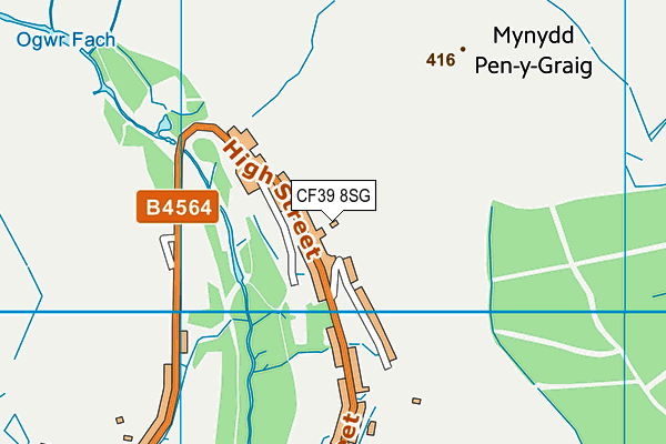 CF39 8SG map - OS VectorMap District (Ordnance Survey)