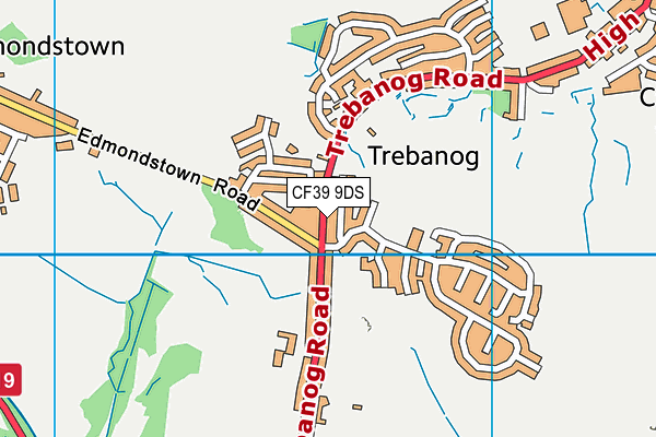 CF39 9DS map - OS VectorMap District (Ordnance Survey)