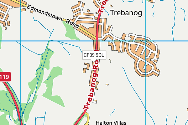 CF39 9DU map - OS VectorMap District (Ordnance Survey)