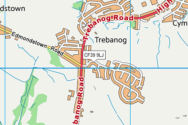 CF39 9LJ map - OS VectorMap District (Ordnance Survey)