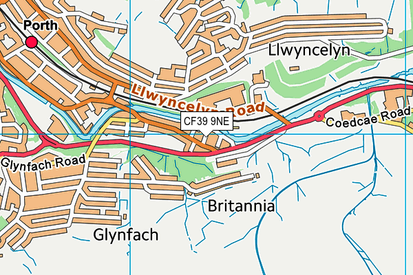 CF39 9NE map - OS VectorMap District (Ordnance Survey)