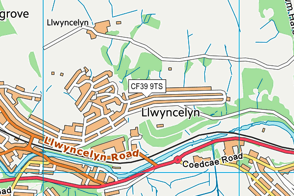 CF39 9TS map - OS VectorMap District (Ordnance Survey)