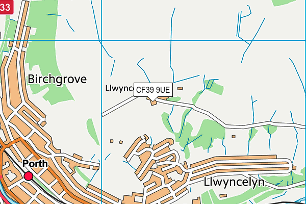 CF39 9UE map - OS VectorMap District (Ordnance Survey)