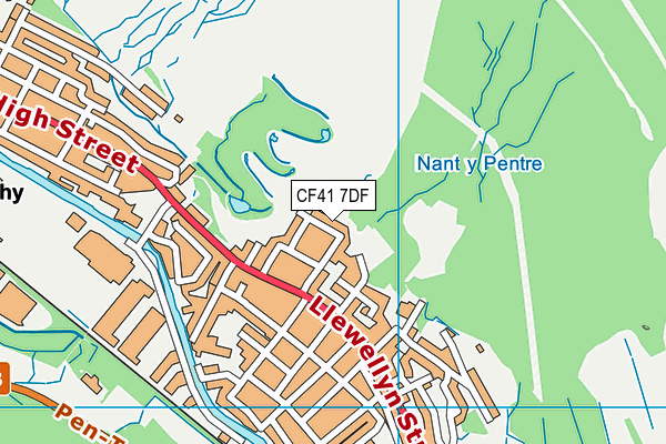 CF41 7DF map - OS VectorMap District (Ordnance Survey)