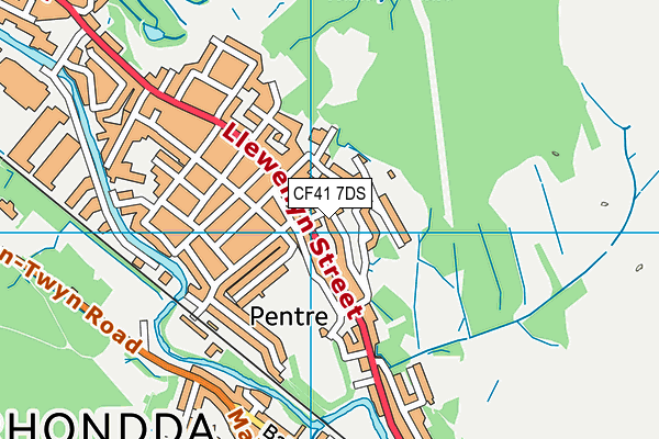 CF41 7DS map - OS VectorMap District (Ordnance Survey)