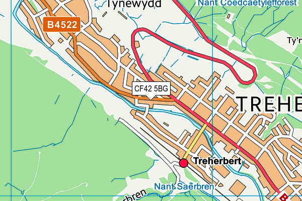 CF42 5BG map - OS VectorMap District (Ordnance Survey)