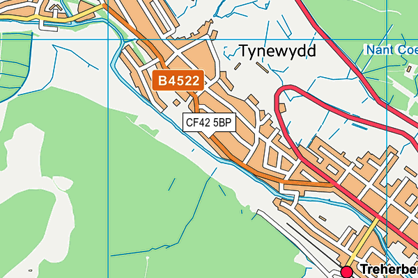 CF42 5BP map - OS VectorMap District (Ordnance Survey)