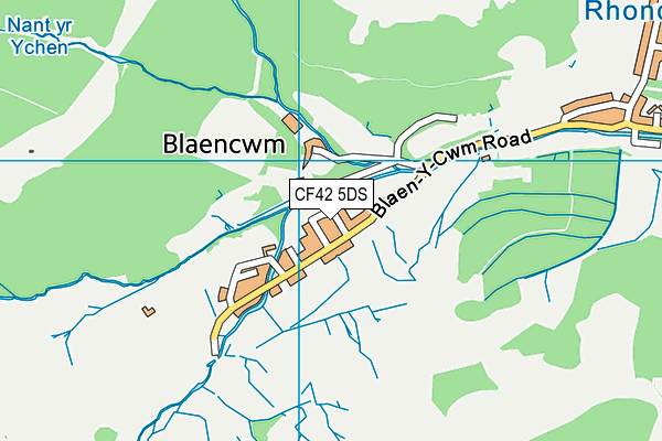 CF42 5DS map - OS VectorMap District (Ordnance Survey)