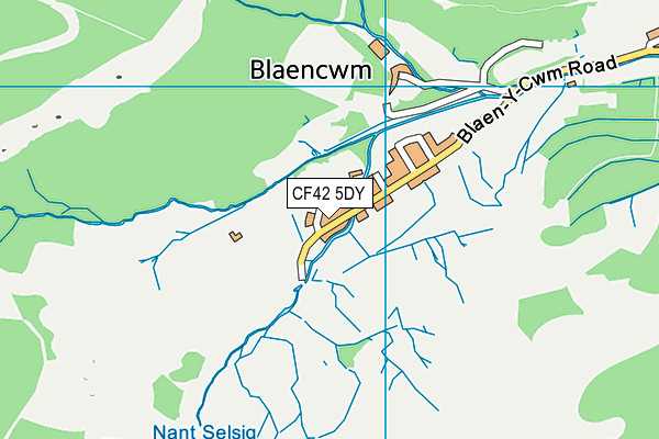 CF42 5DY map - OS VectorMap District (Ordnance Survey)