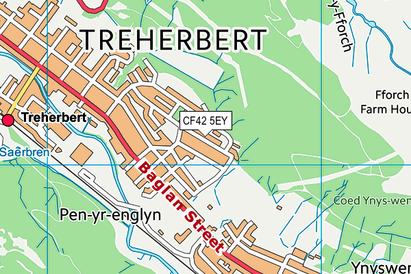 CF42 5EY map - OS VectorMap District (Ordnance Survey)