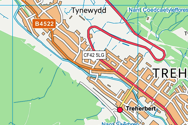 CF42 5LG map - OS VectorMap District (Ordnance Survey)