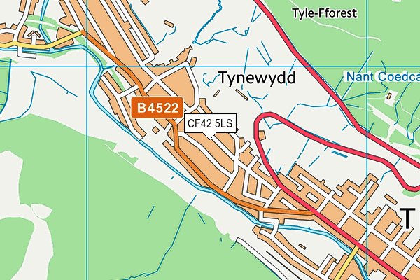 CF42 5LS map - OS VectorMap District (Ordnance Survey)