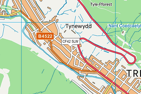 CF42 5LW map - OS VectorMap District (Ordnance Survey)