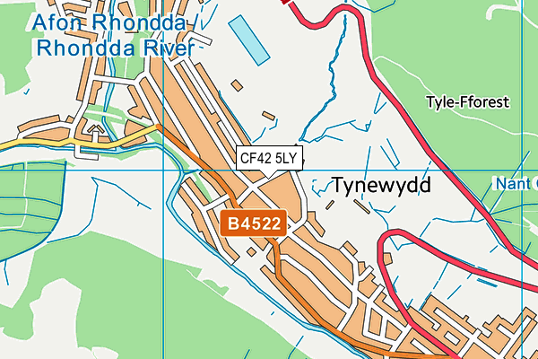 CF42 5LY map - OS VectorMap District (Ordnance Survey)