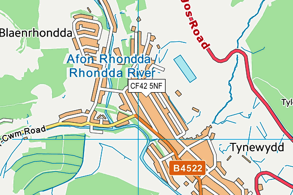 CF42 5NF map - OS VectorMap District (Ordnance Survey)