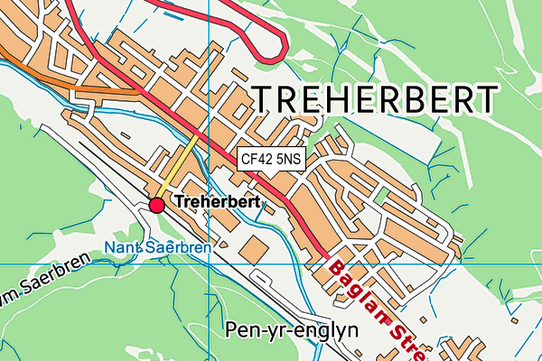CF42 5NS map - OS VectorMap District (Ordnance Survey)