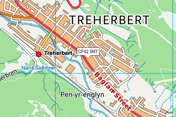 CF42 5NT map - OS VectorMap District (Ordnance Survey)