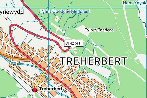 CF42 5PH map - OS VectorMap District (Ordnance Survey)