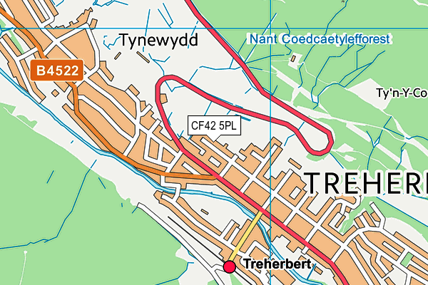 CF42 5PL map - OS VectorMap District (Ordnance Survey)