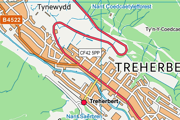 CF42 5PP map - OS VectorMap District (Ordnance Survey)