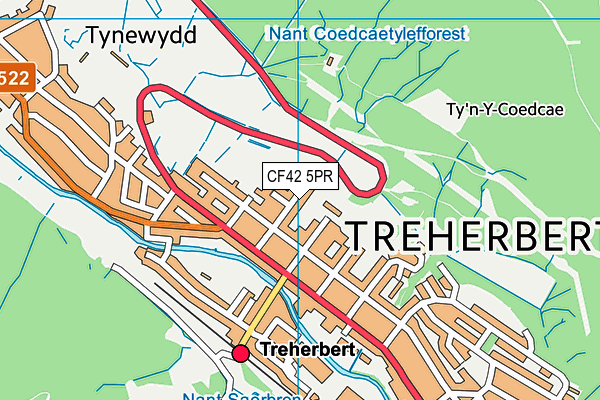 CF42 5PR map - OS VectorMap District (Ordnance Survey)