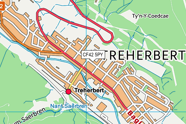 CF42 5PY map - OS VectorMap District (Ordnance Survey)