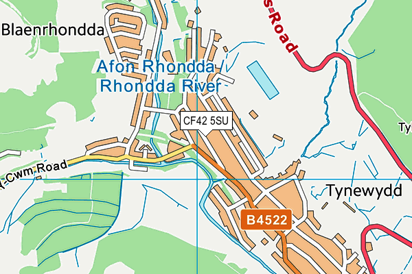 CF42 5SU map - OS VectorMap District (Ordnance Survey)