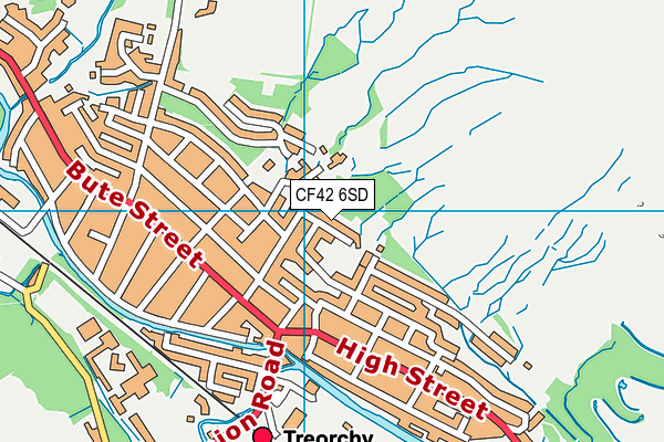 CF42 6SD map - OS VectorMap District (Ordnance Survey)