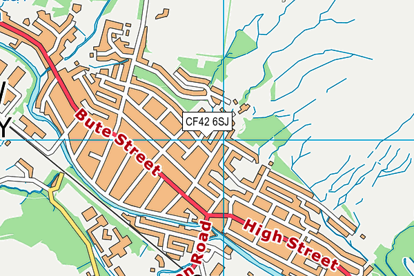 CF42 6SJ map - OS VectorMap District (Ordnance Survey)