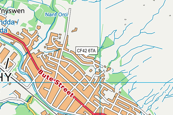 CF42 6TA map - OS VectorMap District (Ordnance Survey)