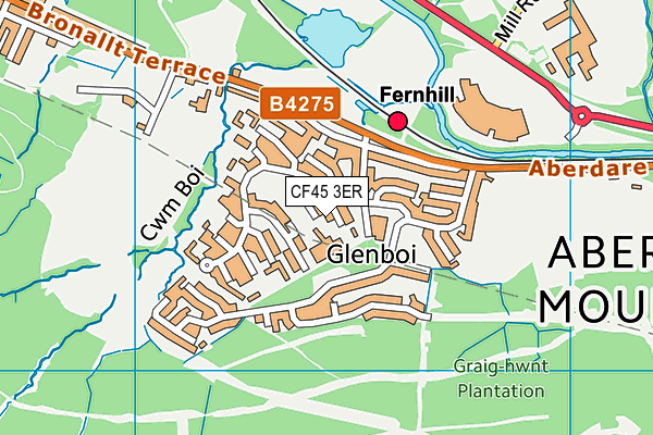 CF45 3ER map - OS VectorMap District (Ordnance Survey)