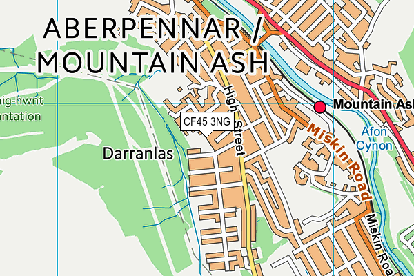 CF45 3NG map - OS VectorMap District (Ordnance Survey)