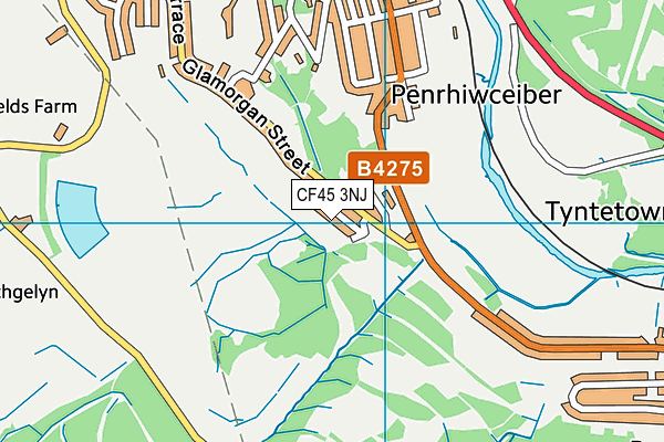 CF45 3NJ map - OS VectorMap District (Ordnance Survey)